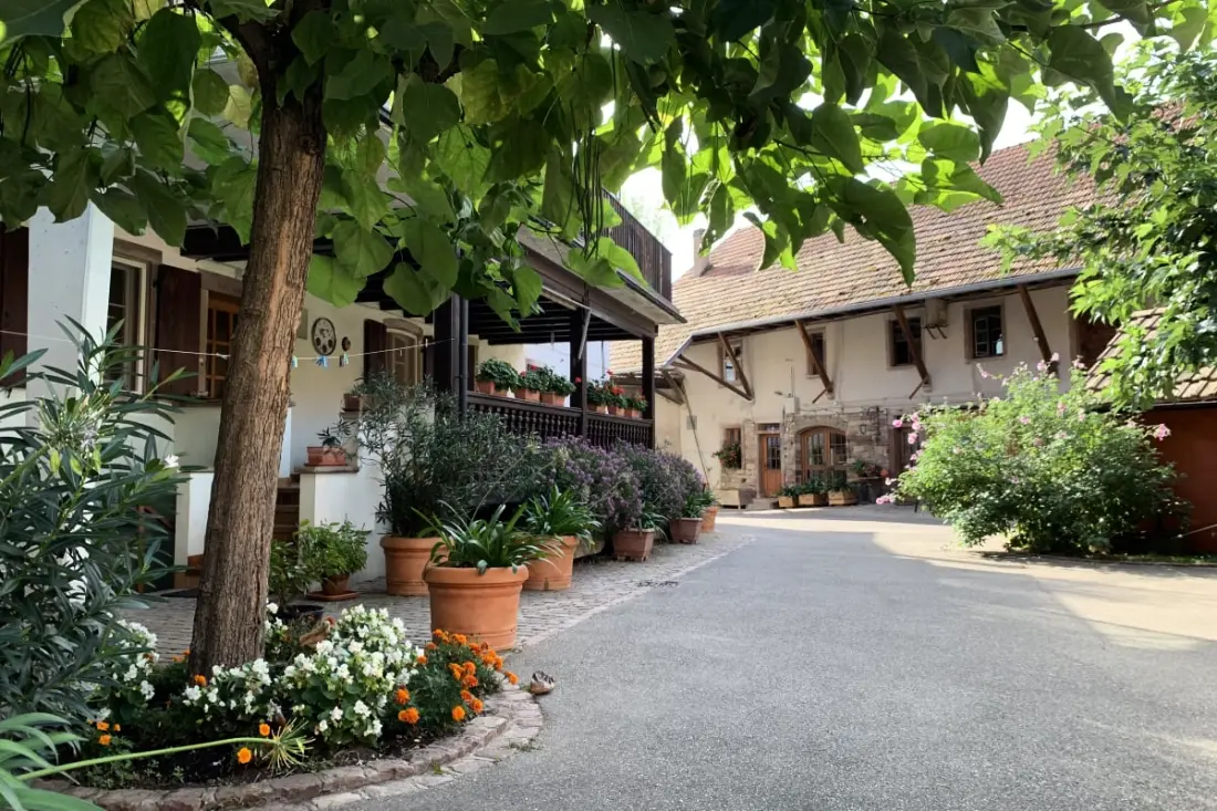 Le Murier: Serce Farm Corps