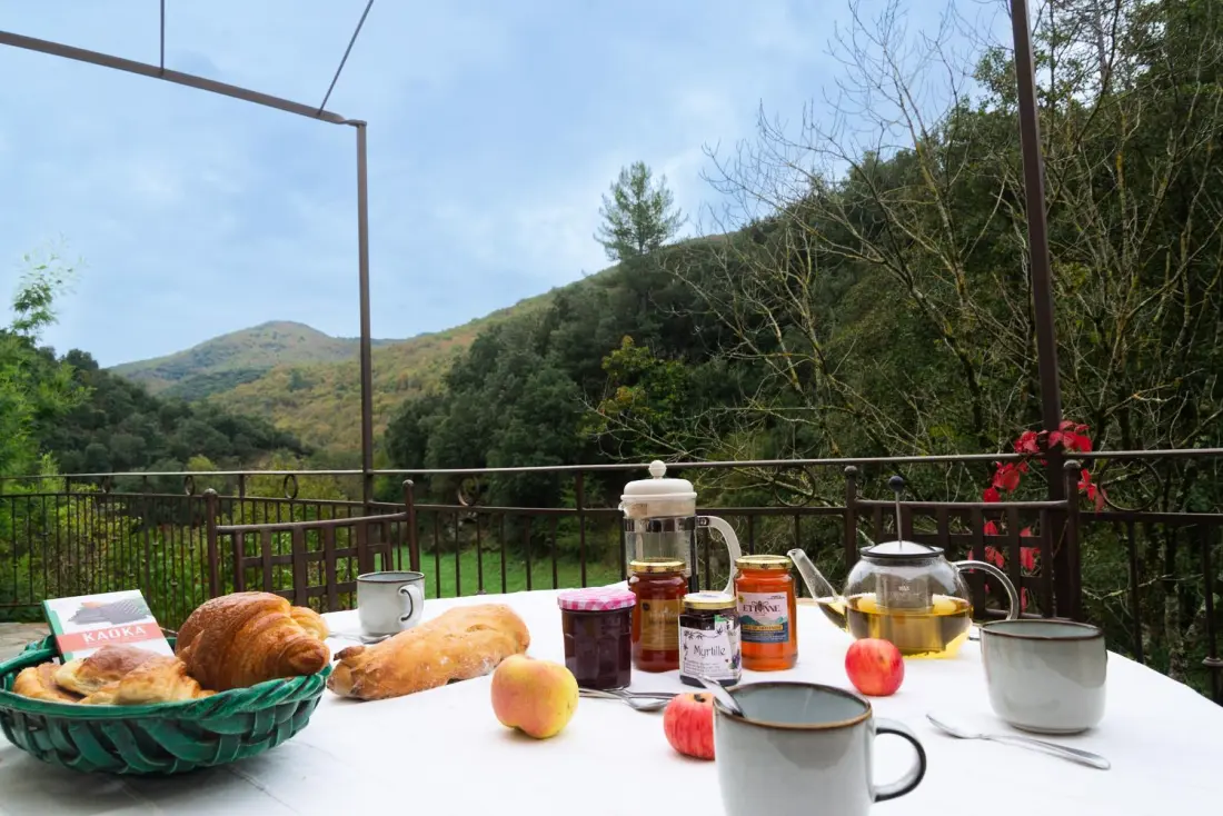 Gîte de France Ecogîte cévénola 5/6 Personen 3 Ohren