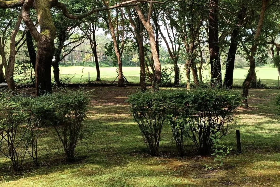 Gyönyörű 2 szoba terasz kilátás golf közel óceán