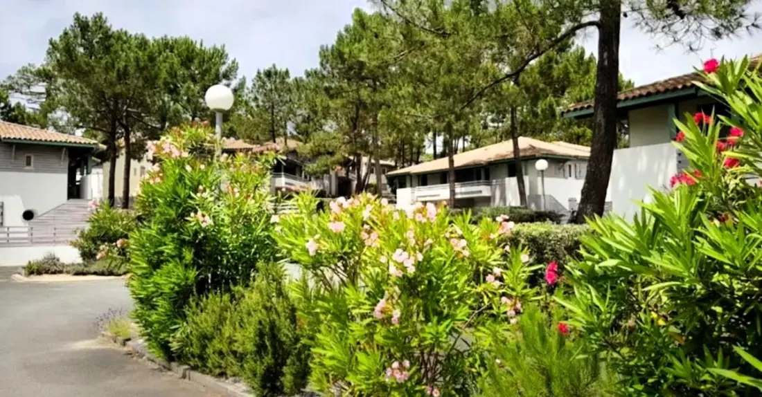 Kiváló apartman loggiával, közel a strandhoz ⛱