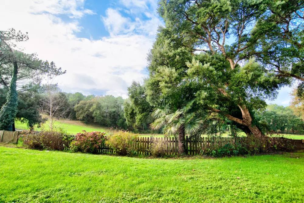 Village Moliets - maeva Home