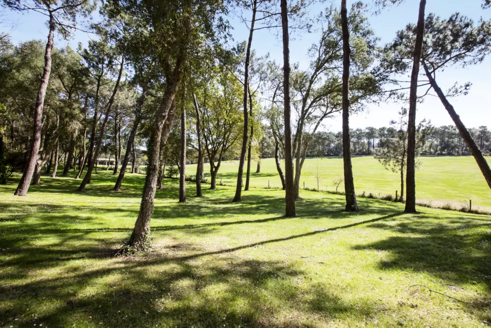 Village Moliets - maeva Home