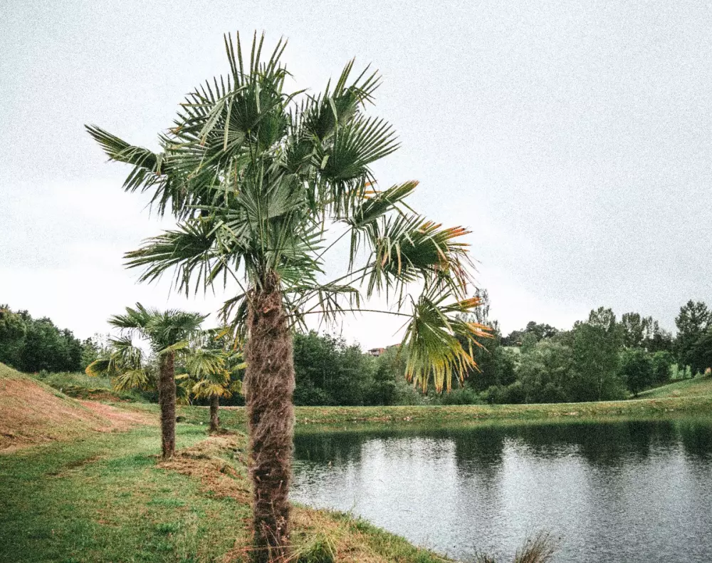 Länder Frankreichs - Hameaux des Lacs