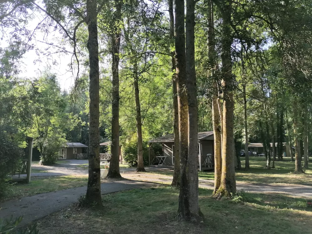 Terres de France -  Moncontour Active Park