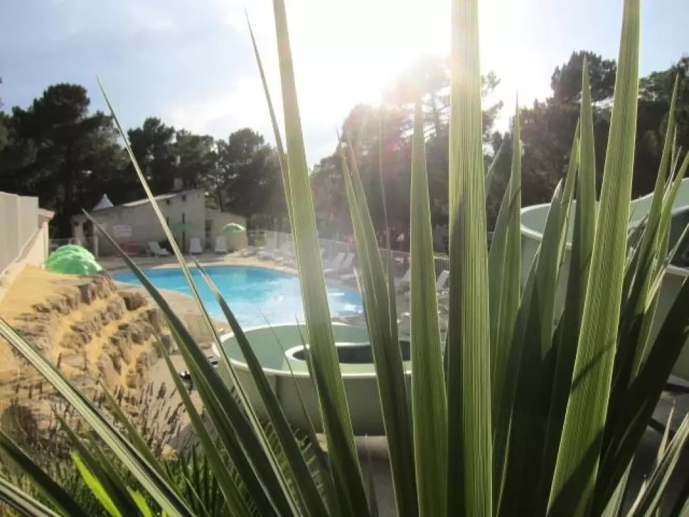Camping La Pinède en Provence 3 Sterne★★★