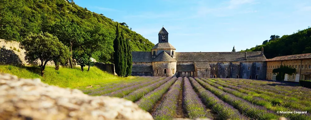 Camping La Pinède en Provence 3 Sterne★★★