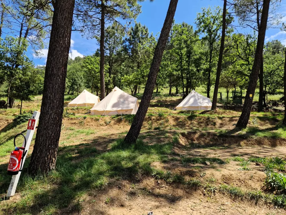 Camping La Pinède en Provence 3 Sterne★★★