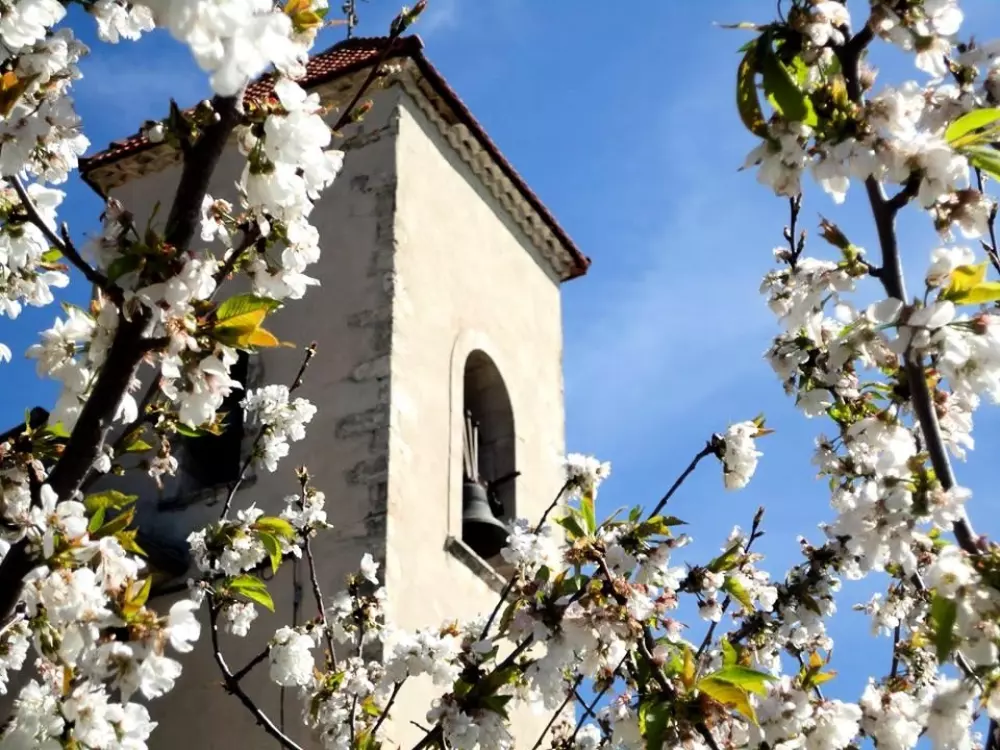 Camping La Pinède en Provence 3 Sterne★★★