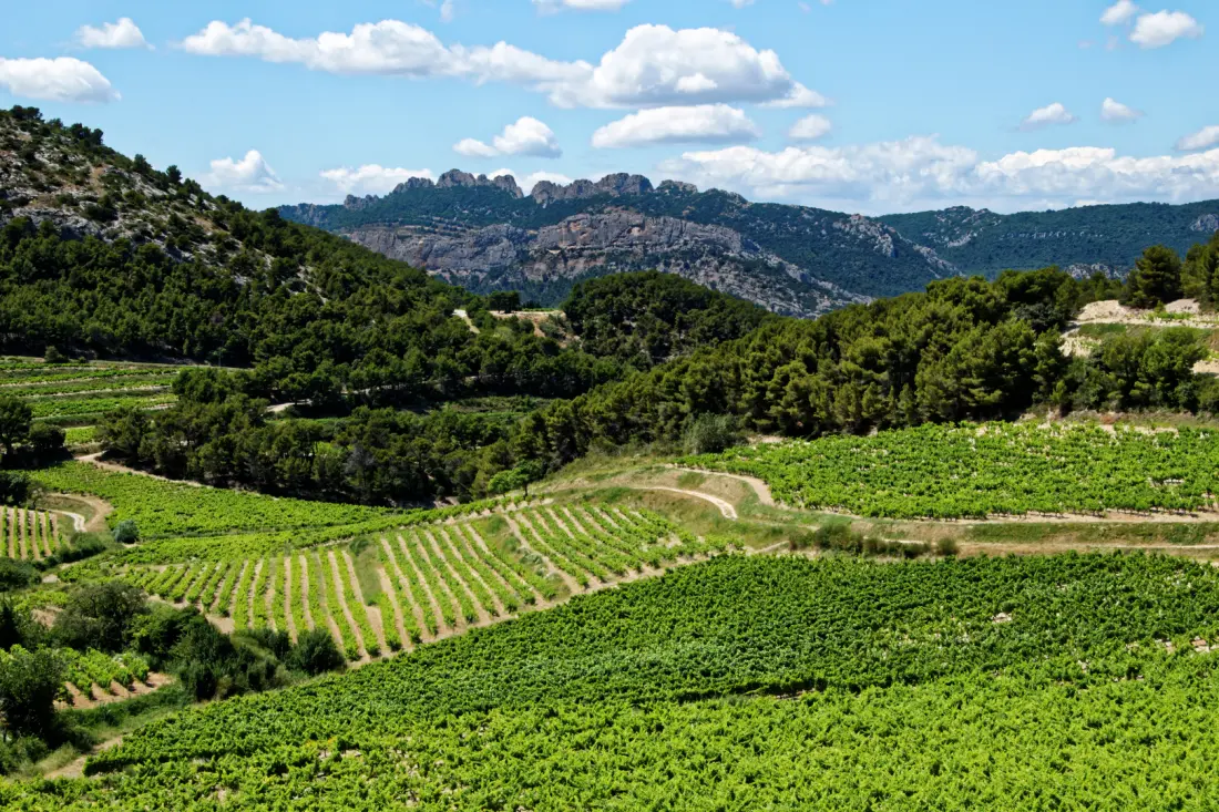 Campeggio La Pinède in Provenza 3 Stelle★★★