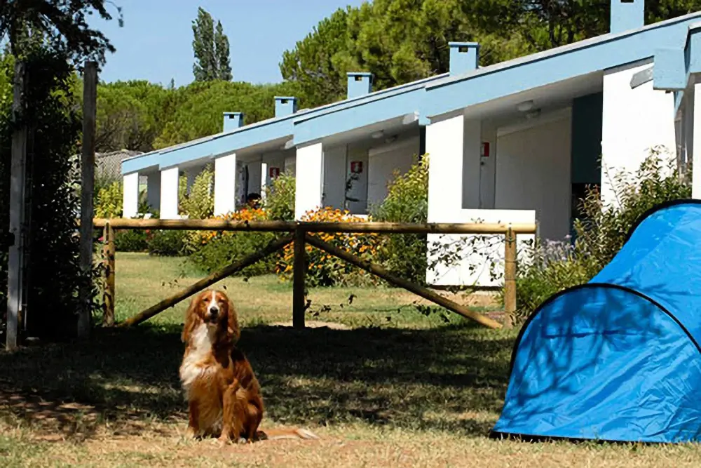 Club del Sole Marina Julia Familie Sammlung 3 Sterne★★★