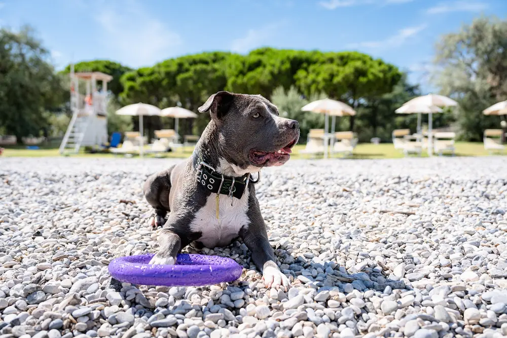 Club del Sole Marina Julia Familie Sammlung 3 Sterne★★★