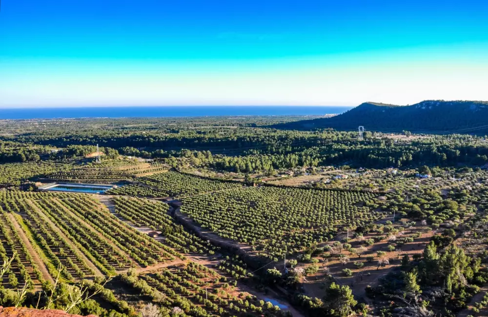 Camping La Torre del Sol 4 étoiles★★★★