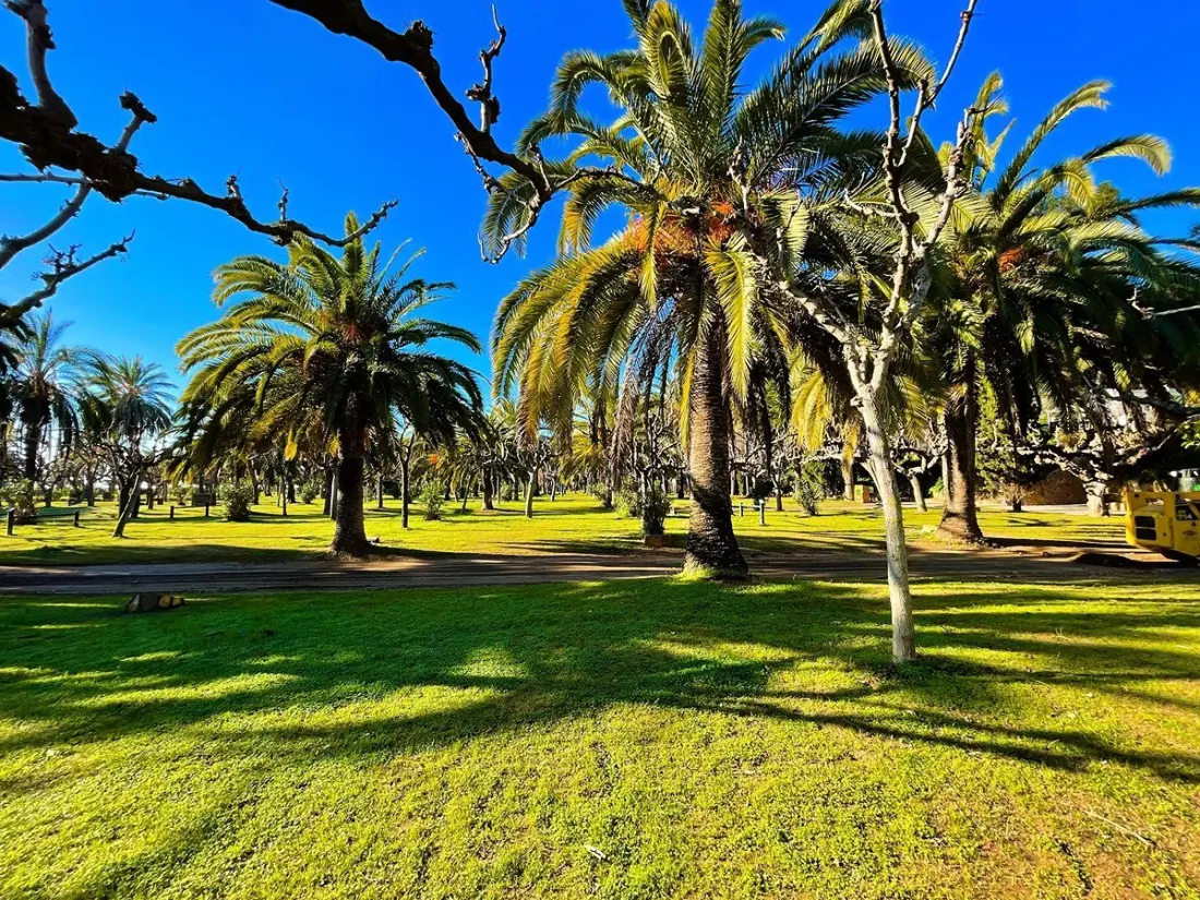 Camping La Torre del Sol4 Sterren★★★★
