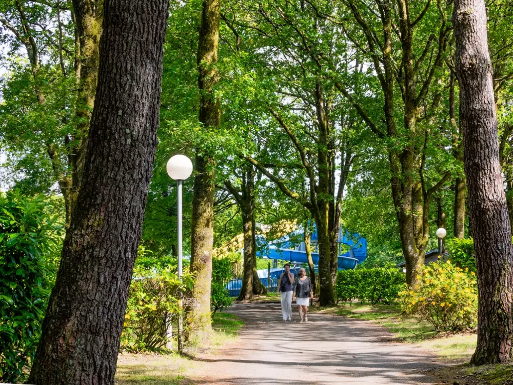 Camping Les Jardins du Morbihan 41 Sterren★