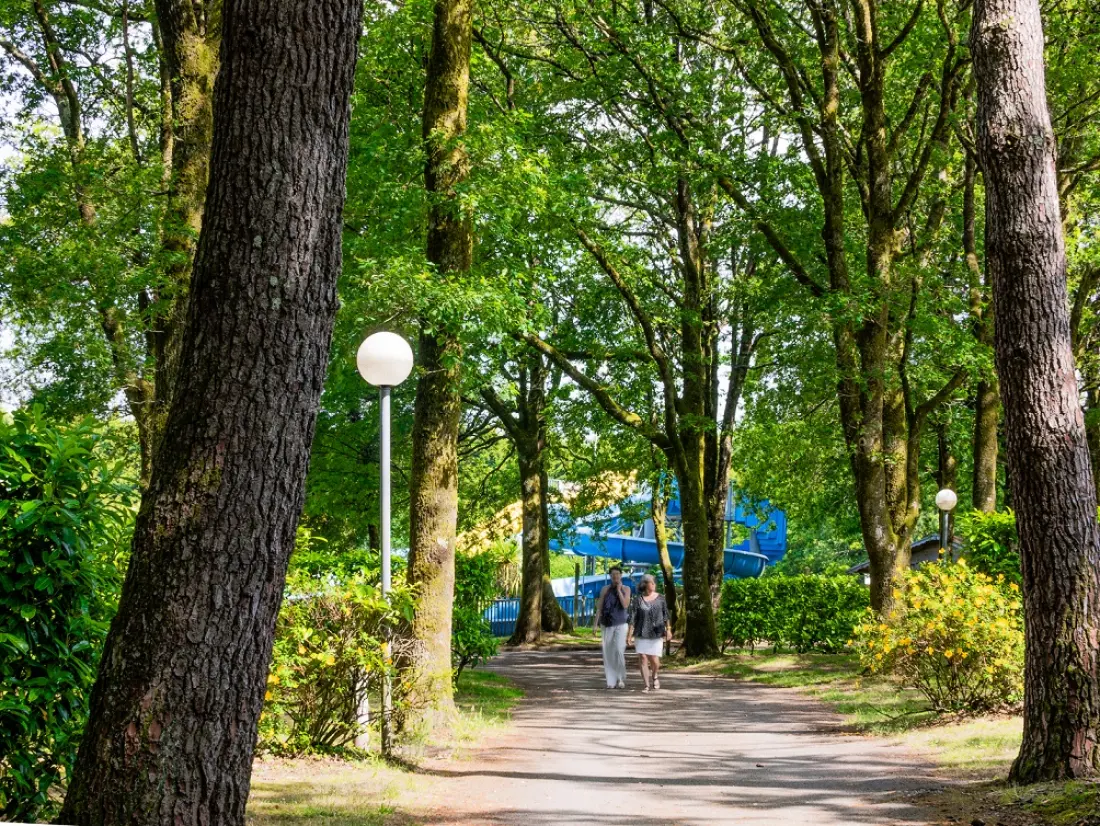 Campsite Les Jardins du Morbihan 41 Stars★