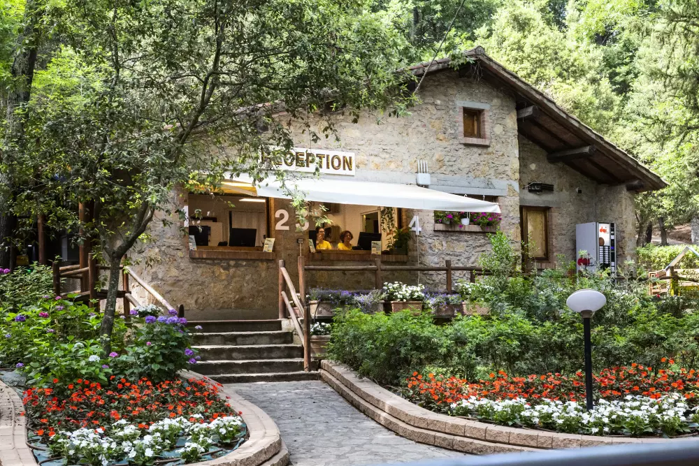 Camping Hu Montescudaio 5 Sterren★★★★★