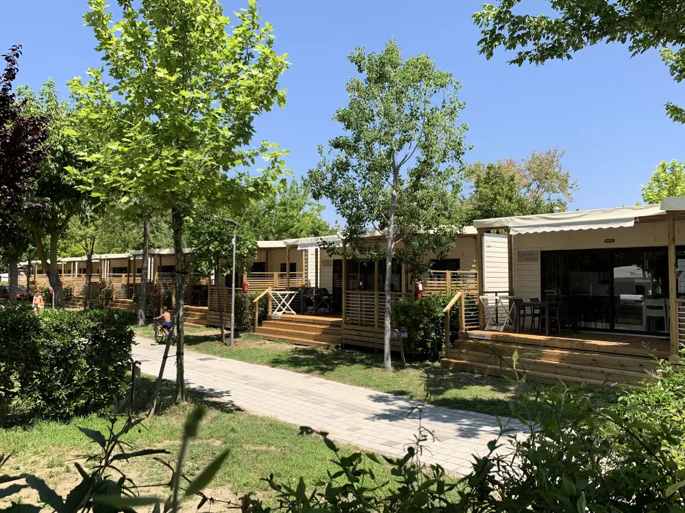 Camping Hu Montescudaio 5 Sterren★★★★★