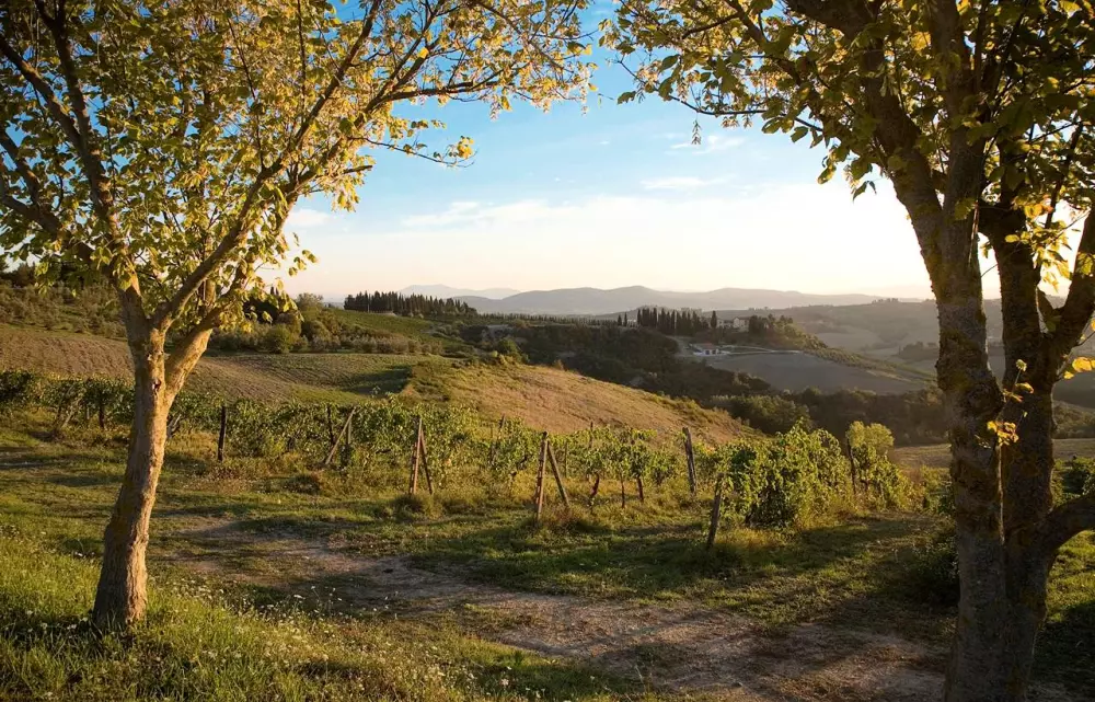 Residence Borgo Filicardo