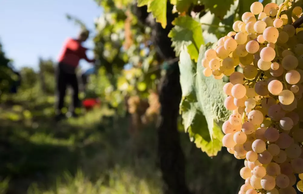 Residence Borgo Filicardo