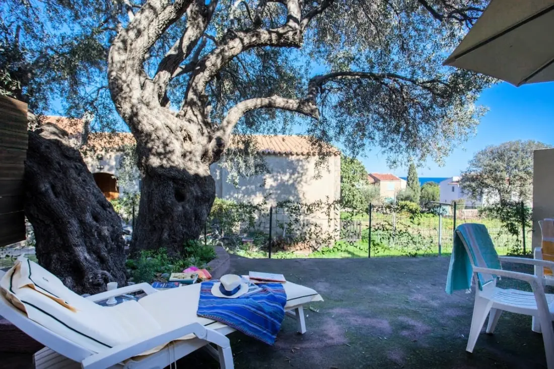 Domaine Bollaccia Casa Caruchettu