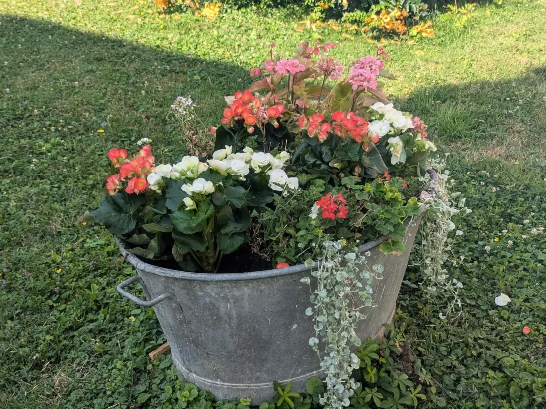 Gîte de France Die Entweichung 3 Ohren