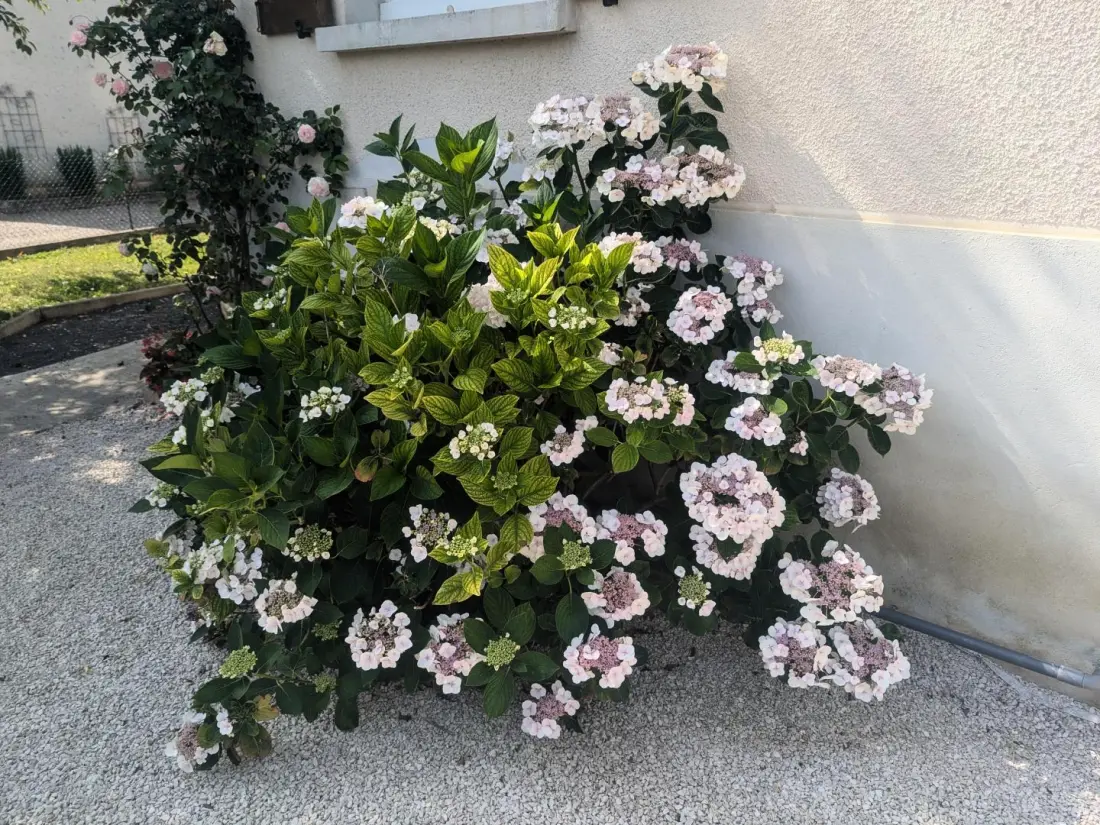 Gîte de France Die Entweichung 3 Ohren