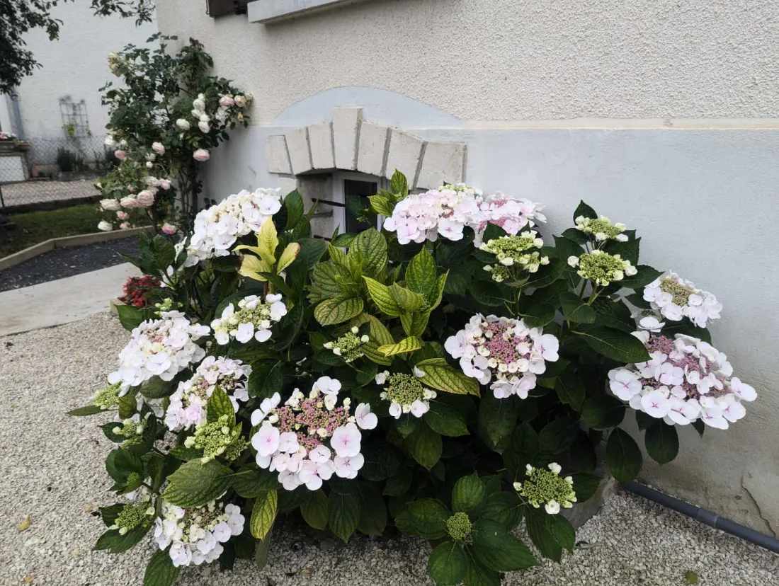 Gîte de France Die Entweichung 3 Ohren