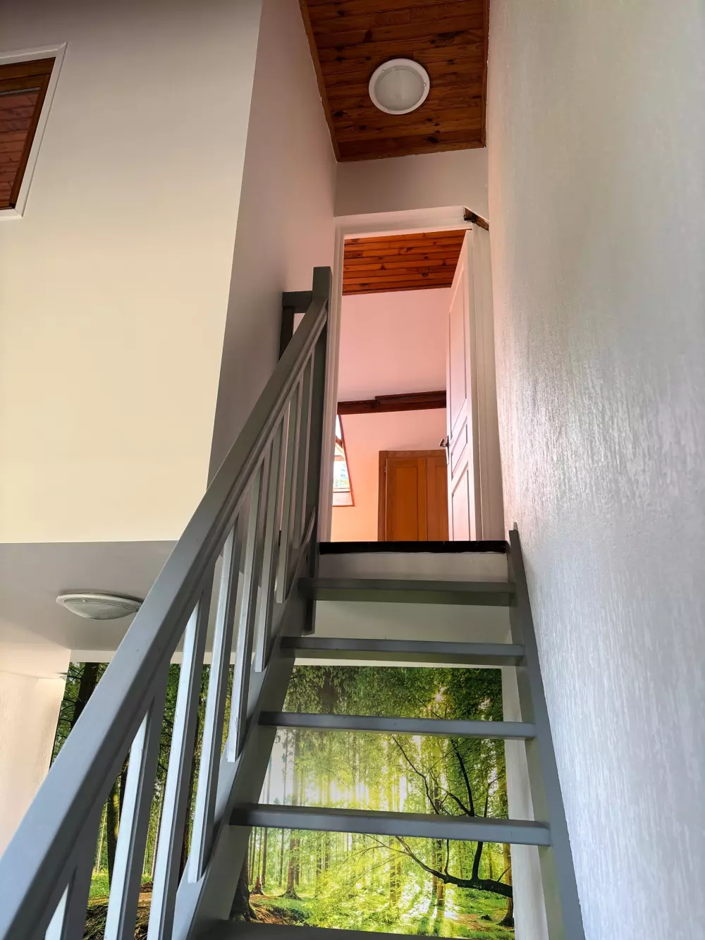 Domaine De Scott 1 Gwiazdy★