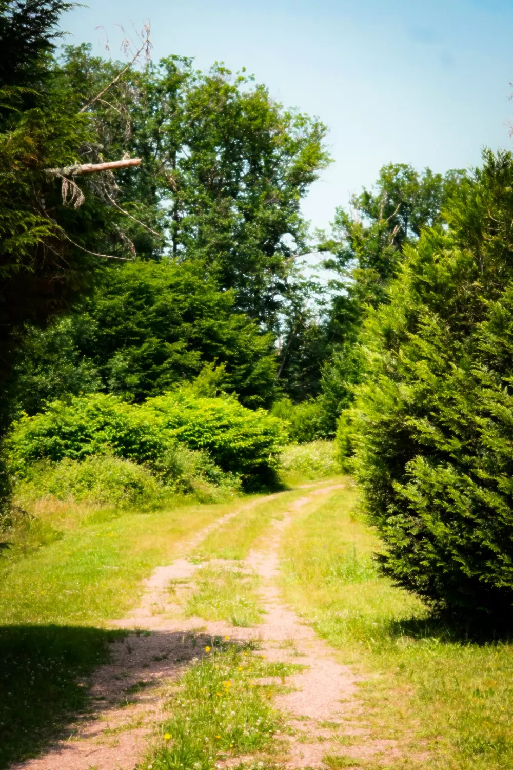 Domaine De Scott 1 Gwiazdy★