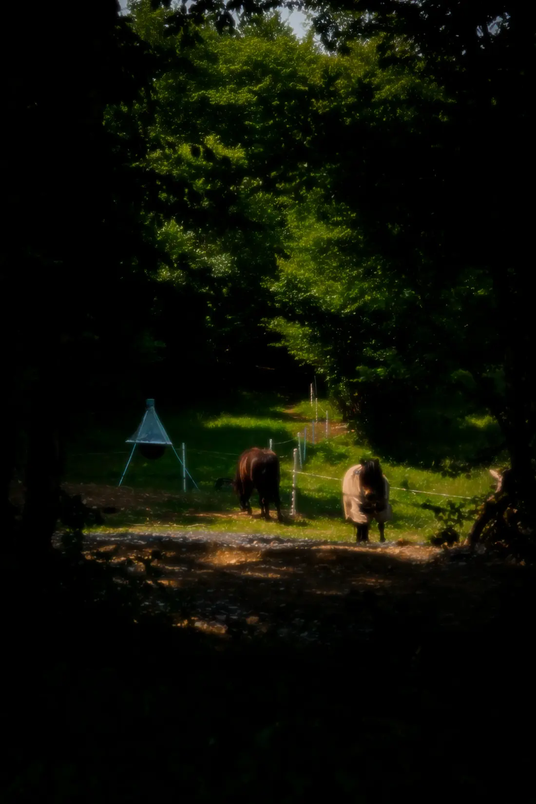 Domaine De Scott 1 Sterne★