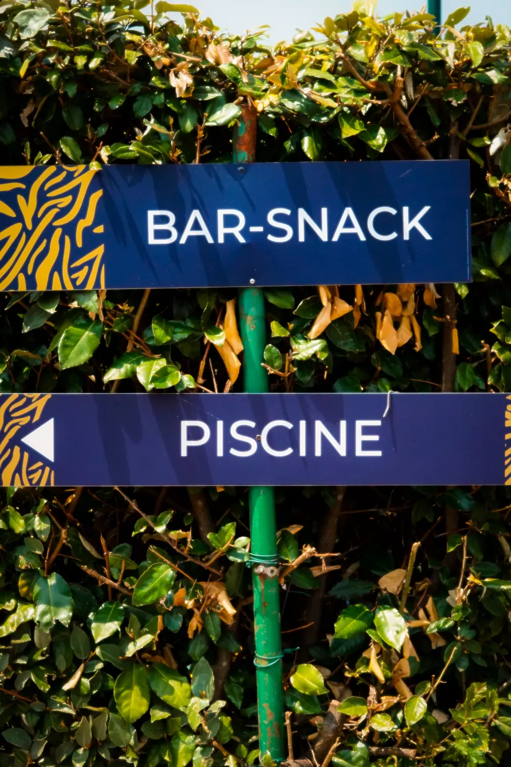 Domaine De Scott 1 Gwiazdy★