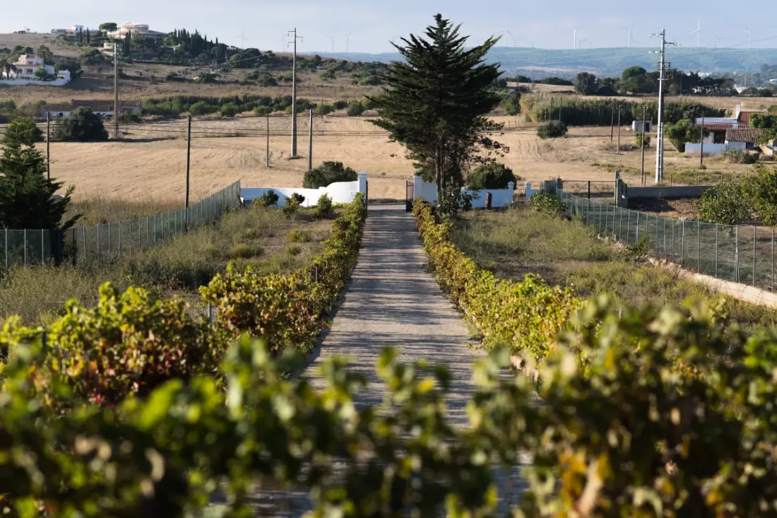 Quinta Da Liberdade: 4 hálószobás családi Villa