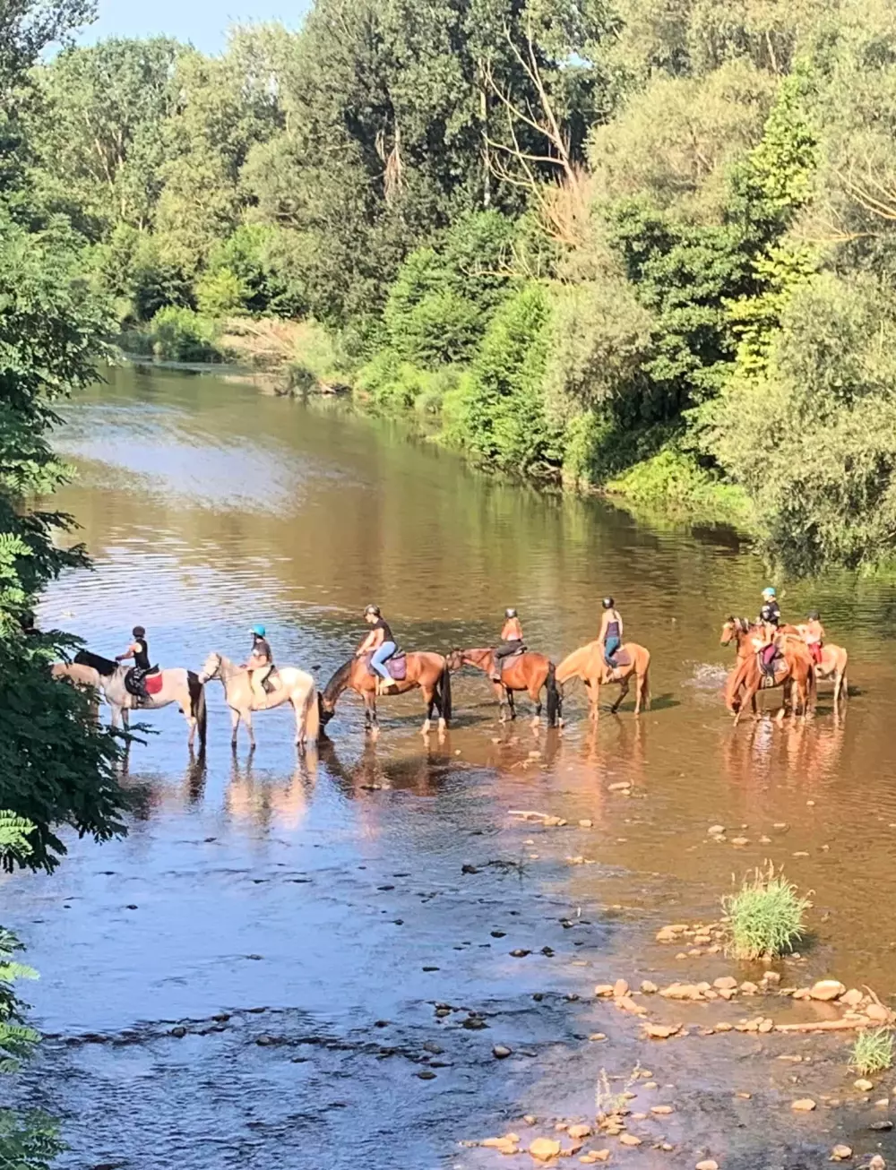 Le Hameau des Genêts 3 étoiles★★★