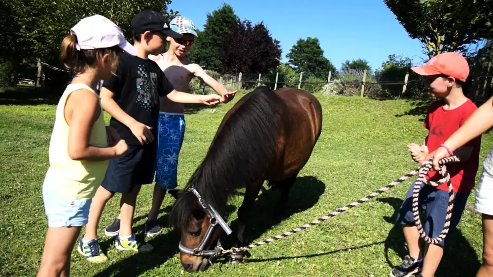 Le Hameau des Genêts 3 étoiles★★★