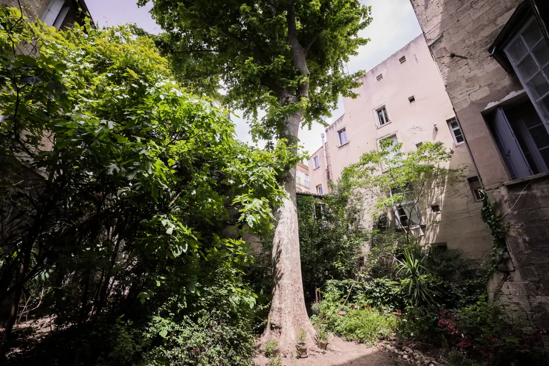 Apartmanok Montpellier