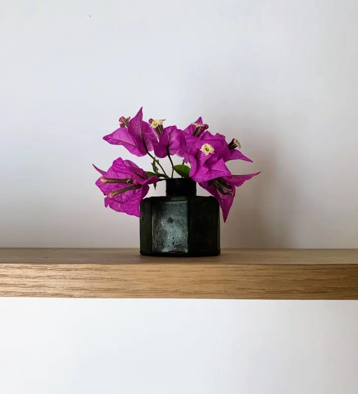 Home Chic Home - Les Suites De La Comédie - Suite1