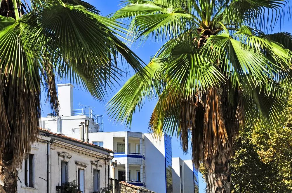 Residence Goélia Sun City3 Stars★★★