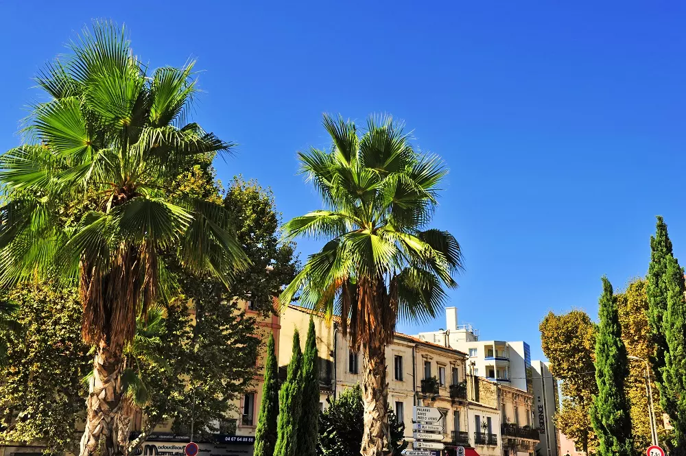 Residence Goélia Sun City3 Stars★★★