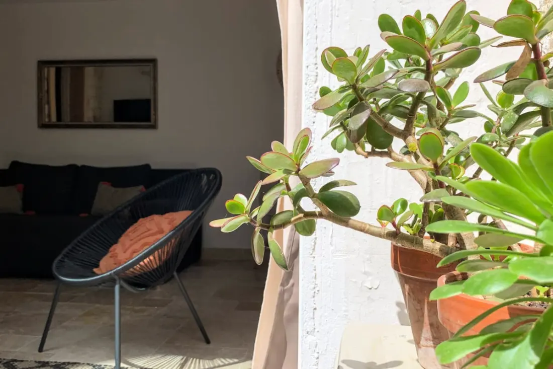 Home Chic Home - A Bazille Terrace