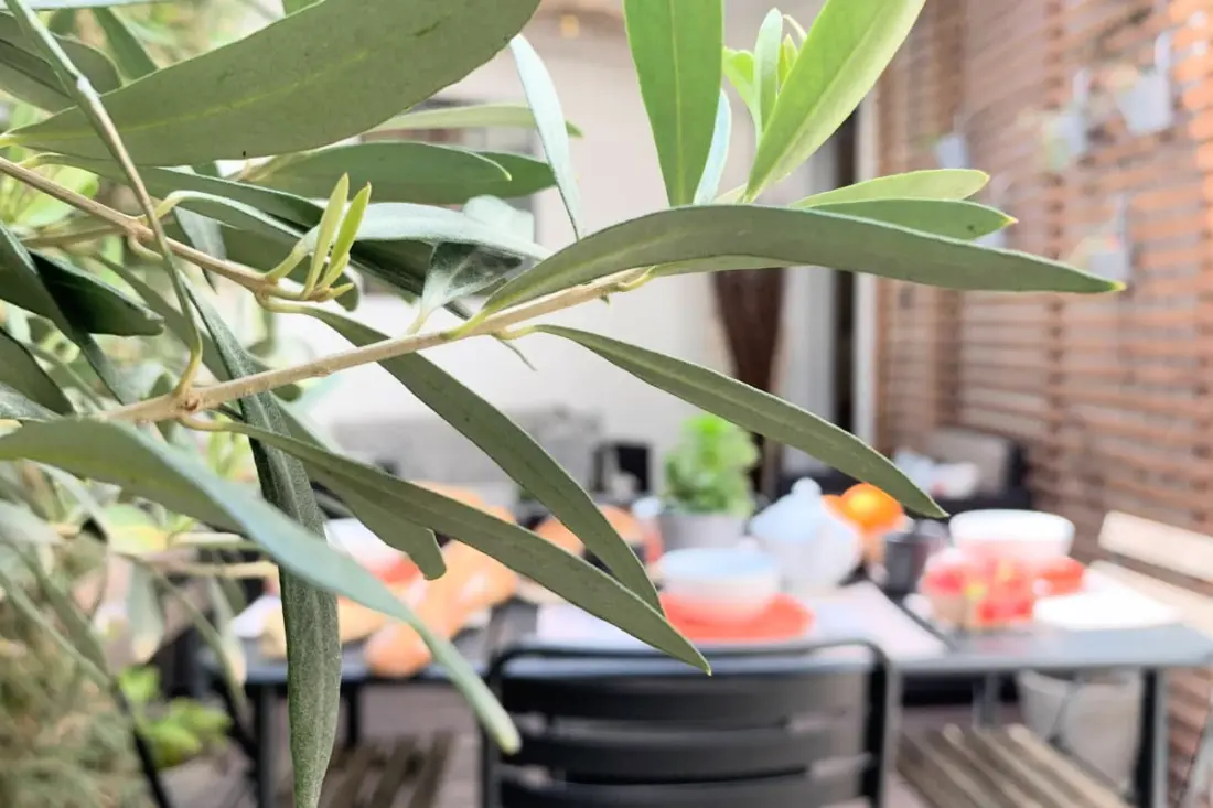 Home Chic Home - A Bazille Terrace