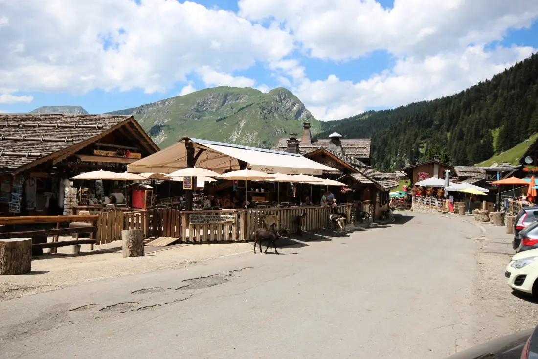 Apartmanok Montriond