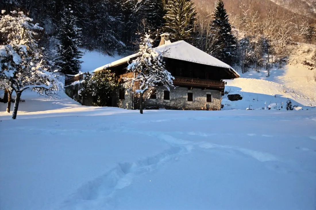 Chalets in Montriond