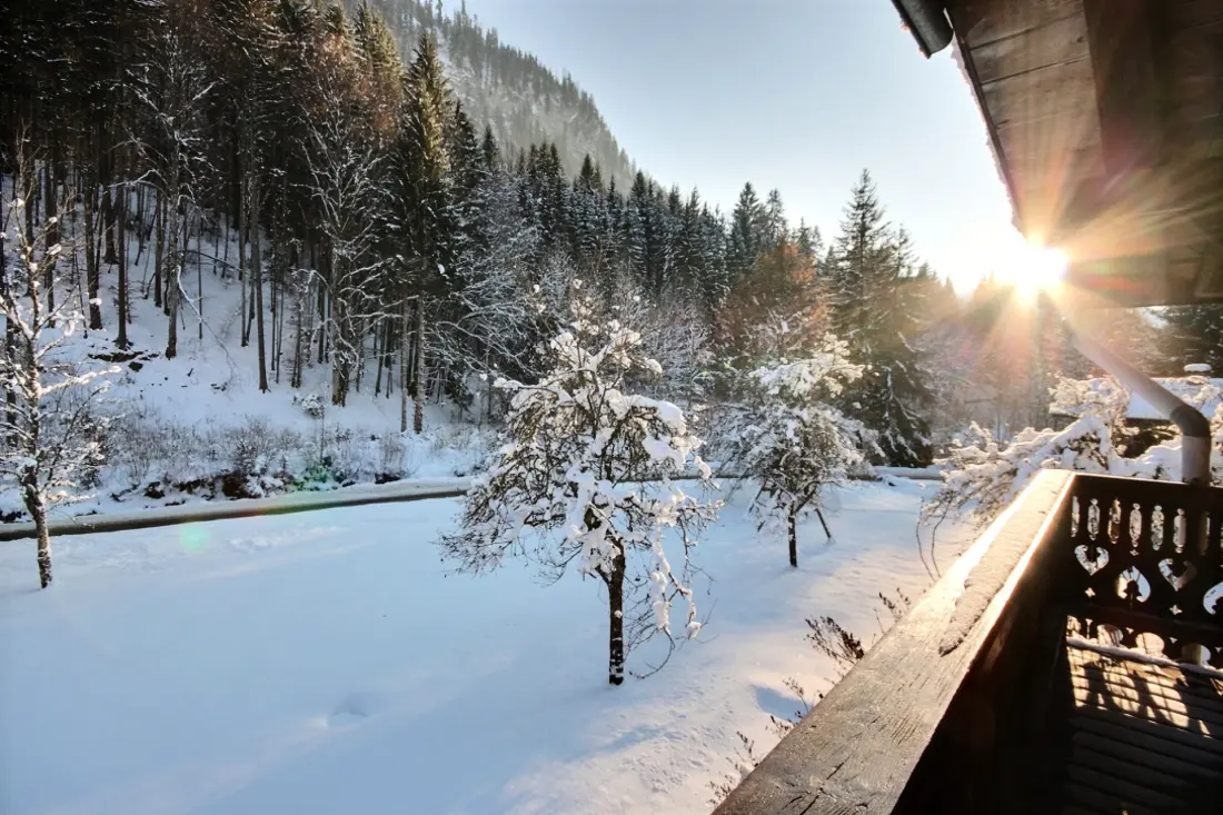 Chalets in Montriond