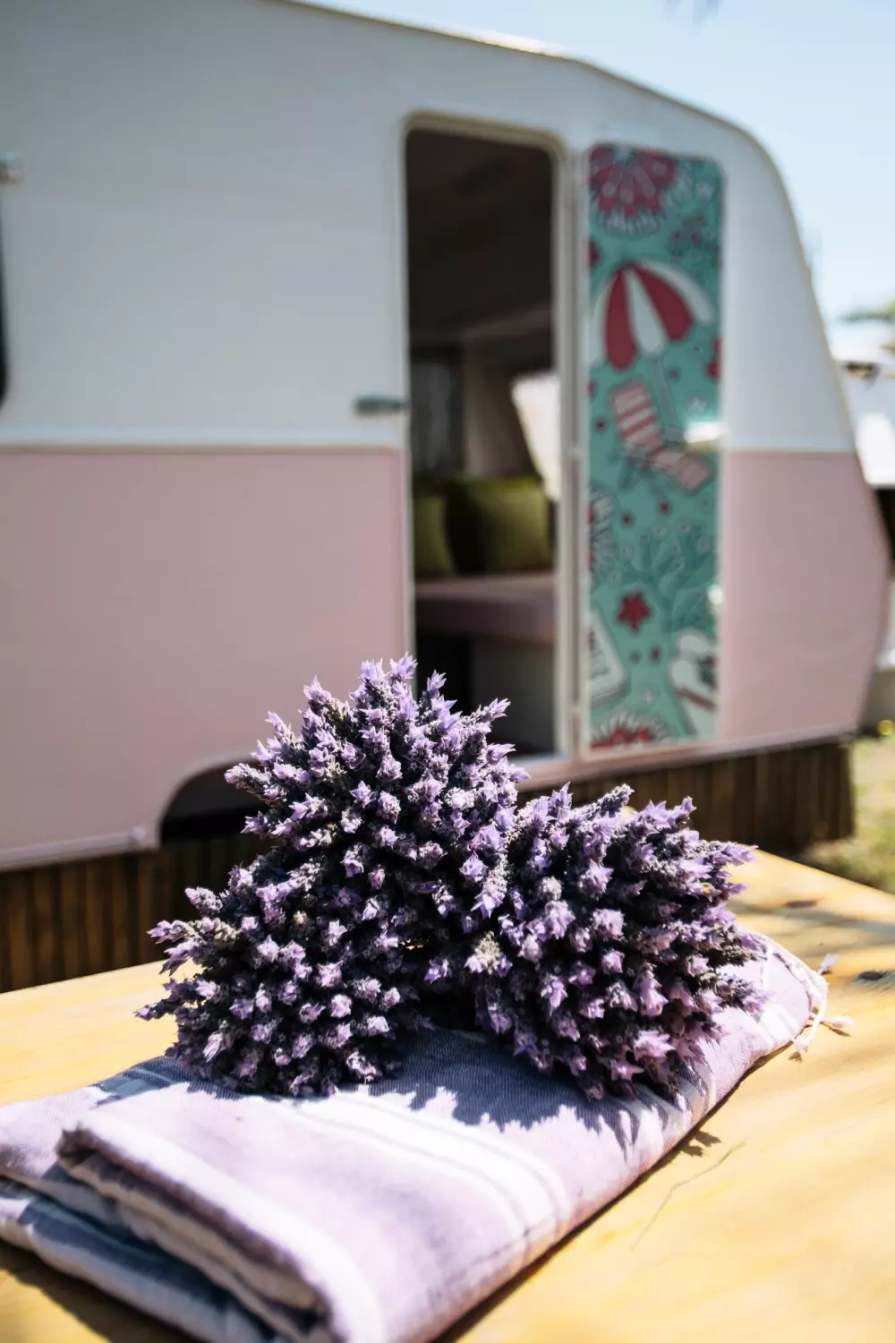 Campsite Miramar by Viajes Velero 3 Stars★★★