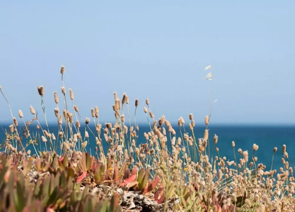 Camping Miramar3 Estrellas★★★