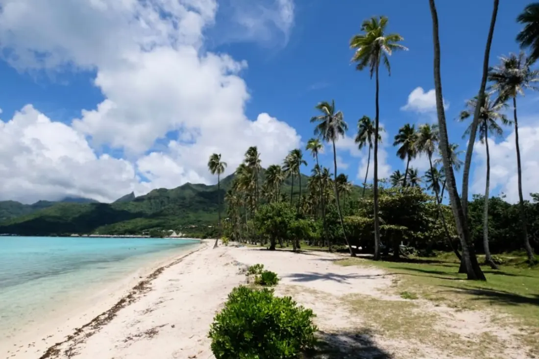 Fare Vainina - Magán strand - Golf