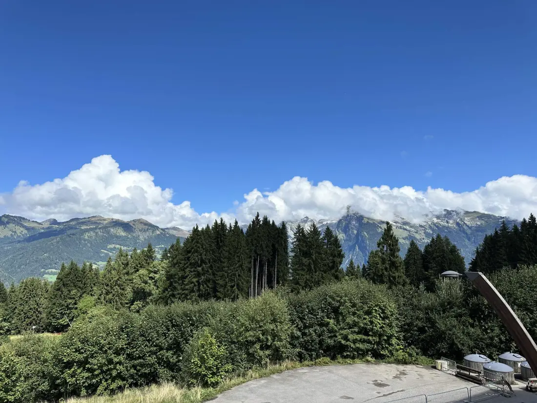 Residence Jardin Alpin Bat B