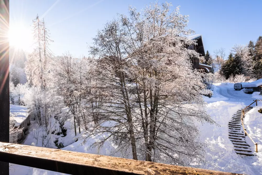 Residence Vacanceole Grand Morillon