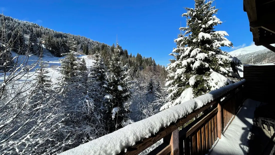 Residence Mesange Boreale-Morzine