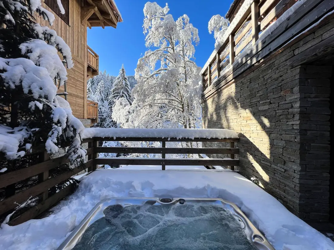 Residence Mesange Cendree-morzine